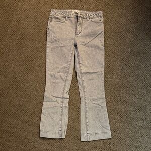 Articles Of Society Gray Jeans